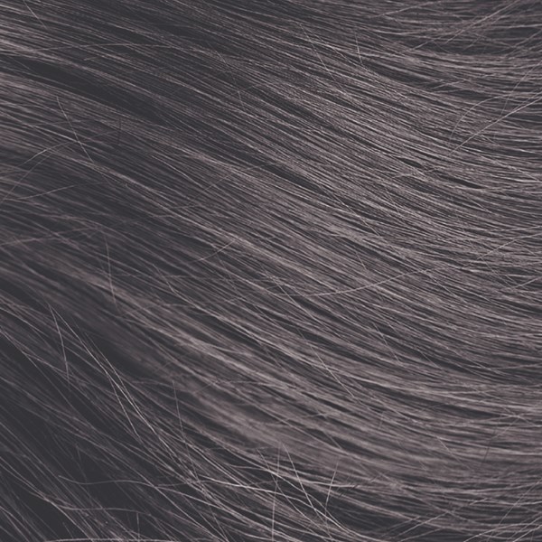 Aloxxi Silver Fox